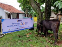 BPKH dan LazisMu Jawa Barat Salurkan Sedekah Qurban di STEI SEBI Depok