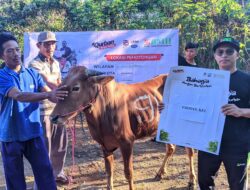 BMH Tebar Kebahagiaan Warga Glingseran,  Bondowoso dengan Qurban