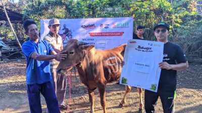 BMH Tebar Kebahagiaan Warga Glingseran,  Bondowoso dengan Qurban