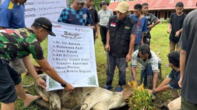 Qurban Berkah BMH Hangatkan Hati Warga Mualaf Mentawai