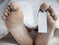 Terungkap! Wanita Telanjang Ditemukan Tewas di Ciracas, Sengaja Berbaring di Tengah Jalan dan Terlindas Mobil