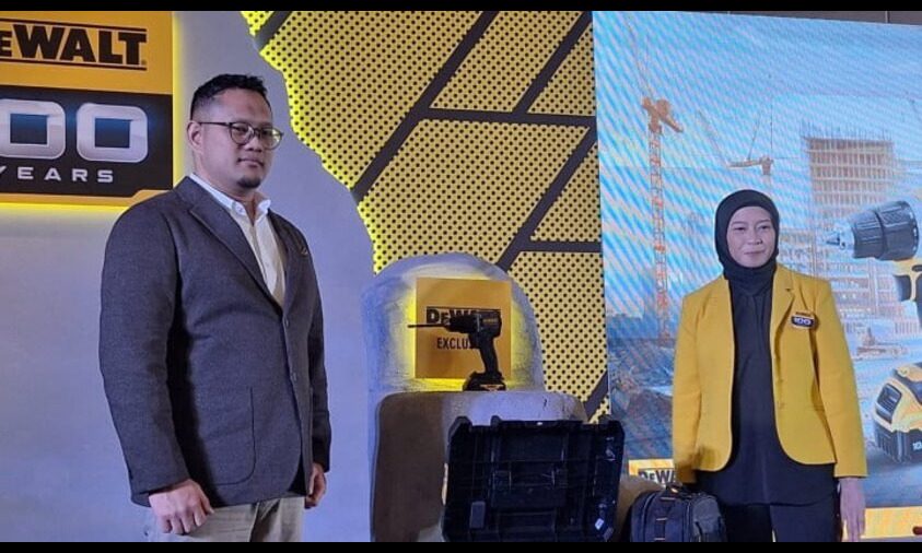 DeWalt limited edition