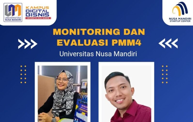 Monitoring PMM 4 UNM