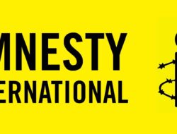 Amnesty Menilai Pembunuhan Pilot Selandia Baru Oleh TPBPB-OPM Merupakan Pelanggaran Berat Hukum Kemanusiaan