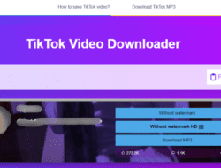Download Video TikTok & Twitter Tanpa Watermark