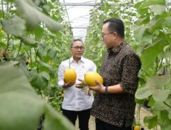 Kunjungan Menko Pangan ke IPB University, Rektor: Investasi Perbenihan Harus Jadi Prioritas Nasional