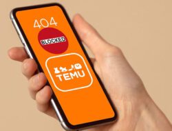 Kemenkominfo Soroti Aplikasi “Temu” yang Ancam UMKM