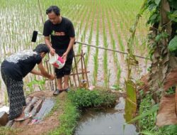 BMH Bantu Carikan Solusi Air Bersih di Ponpes Nurus Salam Lebak yang Terletak di Pelosok Banten