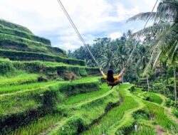 tempat liburan di Bali Tegalang Rice Terrace