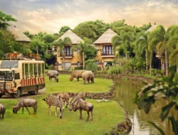 tempat liburan di Bali Safari dan Marine Park