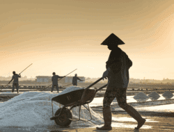 Pemerintah Akan Batasi Impor dan Jagung Industri