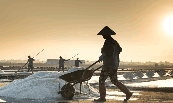 impor garam dan jagung industri dipangkas