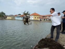 Prof. Rokhmin Dahuri Ungkap Kiat Sukses Pembudidaya Rumput Laut di Kecamatan Cantigi, Indramayu