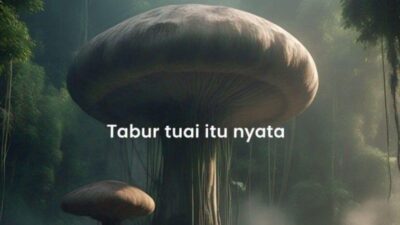 Tabur Tuai