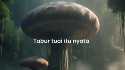 Tabur Tuai