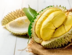 7 Cara Efektif Menghilangkan Bau Durian dengan Bahan Sederhana!