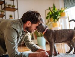 Kurangi Stres dan Kesepian dengan Memelihara Kucing