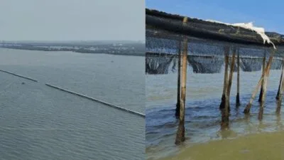 pagar laut tangerang dibongkar