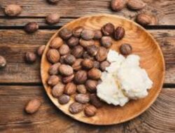 Apa Itu Shea Butter? Ini Khasiat dan Cara Menggunakannya