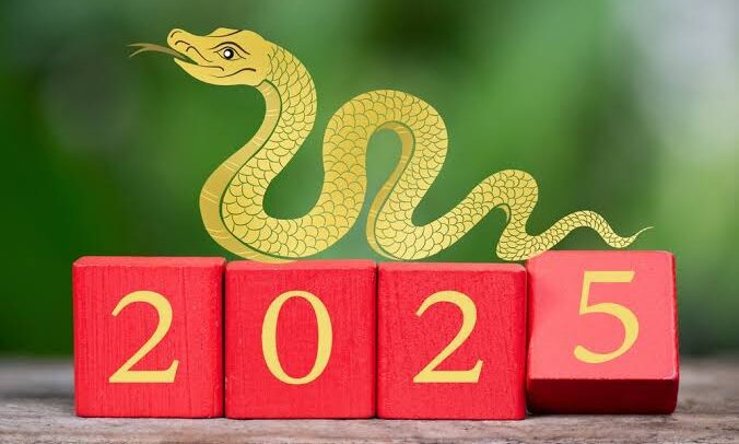Shio Hoki di Tahun Ular Kayu 2025