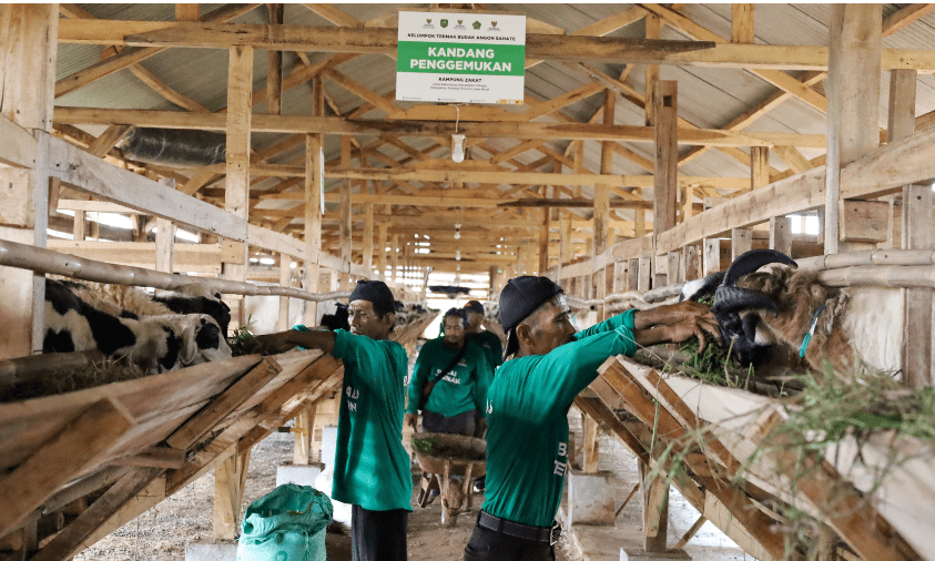 Program Balai Ternak BAZNAS