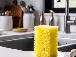 Spons Cuci Piring Dinobatkan sebagai Benda Paling Kotor, Fakta atau Mitos?