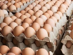 Fakta atau Mitos! Makan Telur Bisa Menyebabkan Bisul