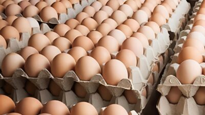 Fakta atau Mitos! Makan Telur Bisa Menyebabkan Bisul