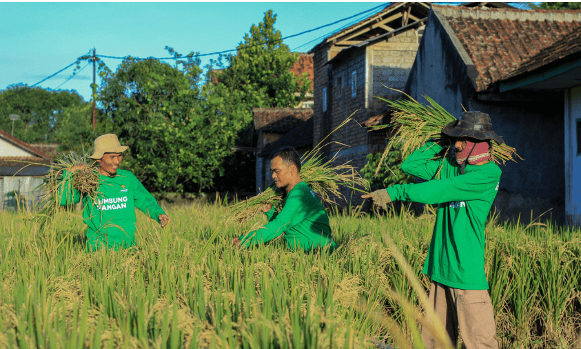 Program lumbung pangan Baznas