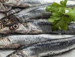 Tak Hanya Susu, Ikan-Ikan Ini Juga Kaya Kalsium untuk Kesehatan Tulang