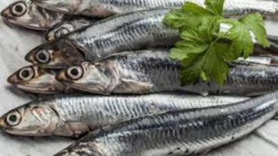 Tak Hanya Susu, Ikan-Ikan Ini Juga Kaya Kalsium untuk Kesehatan Tulang