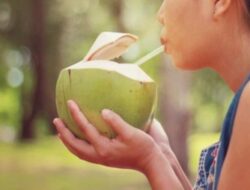 Waspada! 5 Kelompok yang Harus Menghindari Air Kelapa