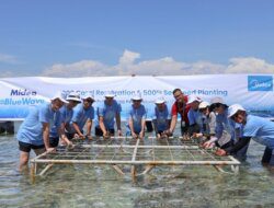 Midea Electronics Indonesia Tanam 1000 Koral dan Rumput Laut Dukung Lingkungan Berkelanjutan 