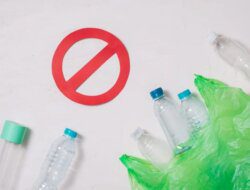 Kurangi Plastik, Selamatkan Bumi: Langkah Kecil Untuk Lingkungan Lebih Asri
