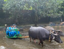 Latih Kemandirian dan Keberanian, 163 Pelajar SD IT Dinamika Umat Ikuti Outbond di Pelita Desa