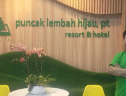Masuk Dunia Nyata! Mahasiswa Cyber University Magang Jadi Software Engineer di PT Puncak Lembah Hijau