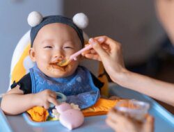 MPASI (Makanan Pendamping Air Susu Ibu) Sehat untuk Bayi 6 Bulan   