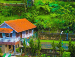 Vila Bumi Asa: Hidden Gem Liburan dengan Konsep Rumah Modern yang Super Luas
