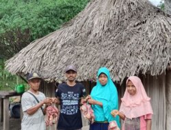 Menyusuri Pedalaman NTT, BMH Tebar Kurban di Desa Noemuke