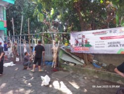 Kurban BMH Sapa Warga Desa Ngerco Kediri, Hadirkan Kebahagiaan yang Lama Dinanti