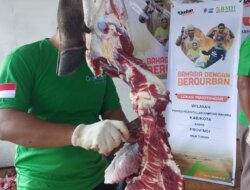 BMH Papua Tengah Tebar Berkah Idul Adha: 9 Sapi dan 7 Kambing Dikurbankan untuk Masyarakat