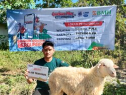Tangis Haru di Sukokidul: BMH Hadirkan Kurban Pertama Kali di Pedalaman Trenggalek