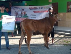 Kurban BMH: Ratusan Santri dan Warga Dusun Modo, Lamongan Rasakan Kebahagiaan