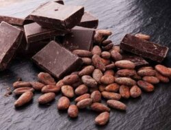 Manfaat Dark Chocolate untuk Otak dan Mood