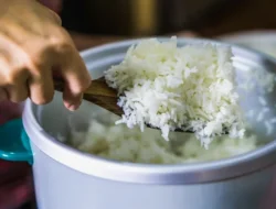 Kenapa Nasi Cepat Basi di Rice Cooker? Ini 6 Penyebab Umumnya