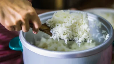 Kenapa Nasi Cepat Basi di Rice Cooker? Ini 6 Penyebab Umumnya
