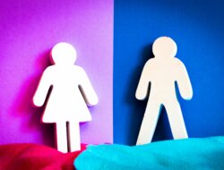 Genderlect Theory : Kesetaraan Tidak Mengenal Gender, Menyikapi Isu Gender Menurut Perspektif Teologis