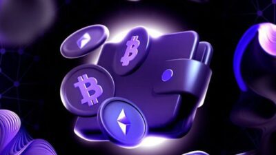 Cold Wallet: Perlindungan Aset Kripto di Tengah Sorotan Payment ID
