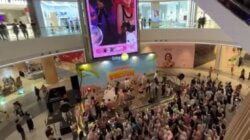 PVN Gandeng TikTok Shop Untuk Pengintegrasian Belanja Online 