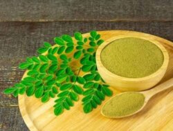 Manfaat Daun Kelor buat Kulit Wajah, Bikin Glowing Tanpa Ribet!